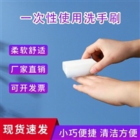 山东海绵洗手刷厂家 双面使用清洁刷 独立包装