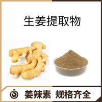 生姜提取物 姜辣素 5% HPLC 适合功能性饮料 水溶性