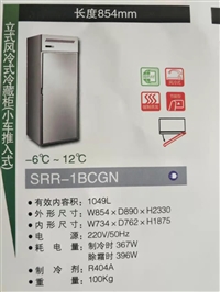 松下GN系列冷柜SRR-1BCGN单门经济款