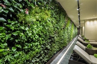 绿色装饰形象墙,景观生态绿化设计 仿真植物墙,人造仿真植物墙
