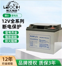 理士电池12V24AH DJW1224S直流屏EPS/UPS电源铅酸免维护蓄电池 65AH