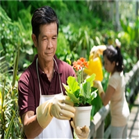 今年广西农艺师证考试报名入口