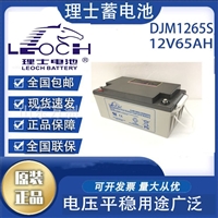 理士蓄电池DJM1265S 12v65ah阀控式铅酸免维护 EPS/UPS电源 100AH 7AH