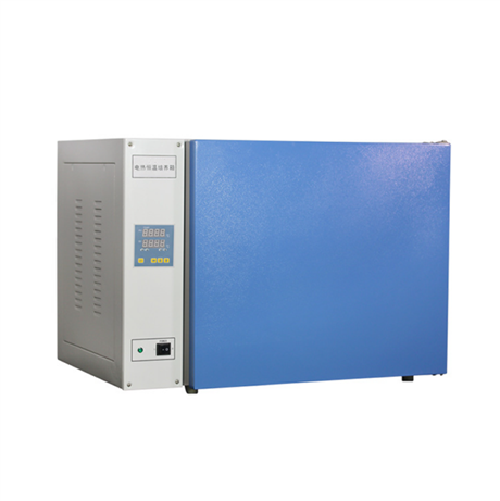 TW-DHP-9272台式电热恒温箱  霉菌微生物培养箱 植物种子发芽箱