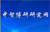中国电动叉车电池充电器市场发展现状及投资分析报告2024
