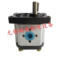 SDH上海大众CBTt齿轮泵CBTt-F304/306 