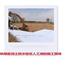 100丝厚新料土工膜 昌江区国标GCL-NP防水毯钠基膨润土防渗垫