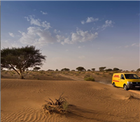 铁山区DHL国际快递公司 铁山区DHL快递航空运输  全区折扣