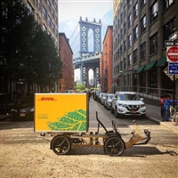 锡山区DHL快递邮寄中心 锡山区DHL快递航空运输  DHL国际快递