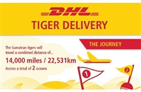 鞍山铁东区DHL国际快递公司 鞍山铁东区DHL快递电话  专注DHL保障之选