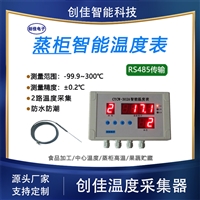 创佳  CYCW-302A温度显示仪 蒸锅蒸柜高温测量仪表 中心温度监测