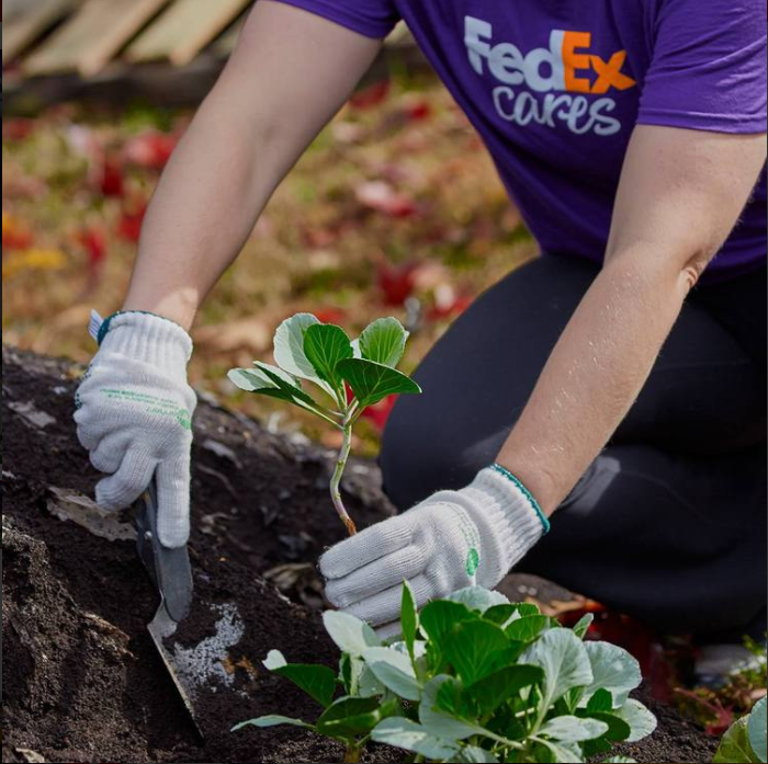 建湖县FedEx 建湖县联邦快递托运站  专线双清包税