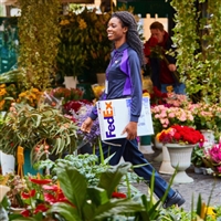 铁山区联邦国际快递邮寄中心 铁山区FedEx快递航空运输  享受优惠