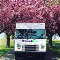 鞍山铁东区FedEx快递-取件电话 鞍山铁东区联邦快递服务指南  提供免费包装