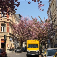 铜官山区DHL快递网点 铜官山区DHL快递取件上门   精选折扣方案