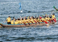 锡山区DHL快递公司 锡山区DHL快递航空运输  全球送达