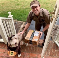 铁山区UPS-UPS取件电话 铁山区UPS邮寄中心  发国际快递