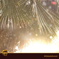 铜官山区UPS快递邮寄中心 铜官山区UPS快递取件上门   UPS全球派送