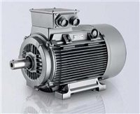 进口ELEKTRA电容器