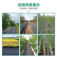 山西大棚抑草除草布 遮草布农用花卉透气地布 防草布