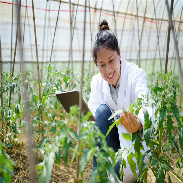 请关注吉林省农艺师证报名条件