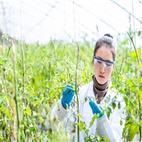 解读广西农艺师证怎么办理