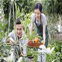 解读广西农艺师证报名时间