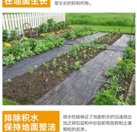 山西pp防草布厂家 果园除草布厂家 花卉园艺地布 防草地布