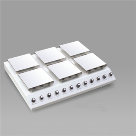 TW-EMS-19双列六头加热搅拌器 实验室多工位搅拌机搅拌设备