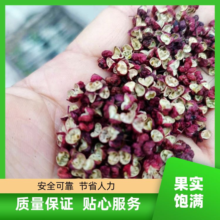 【出口级干青花椒】滕椒粒绿麻椒碎藤椒粉食用香料调味料现货速发