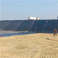 鱼塘养殖黑膜 飞灰填埋区阻隔重金属1.0厚美标HDPE膜