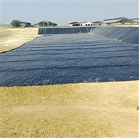 重金属污染治理美标HDPE膜1.0mm 0.3mm厚土工膜鹿寨