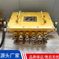 BHD-10/127-28G煤矿用隔爆型低压电缆接线盒 作电缆连接和分支