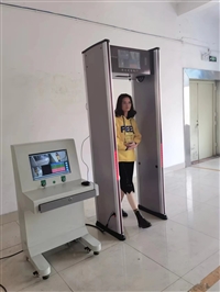 上海模拟人形安检门中科联厂家