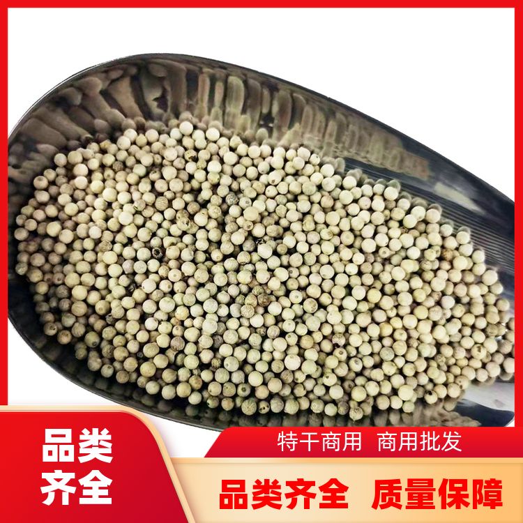 正宗白胡椒500g另售荜拨长白芷片组合套装白胡椒粒干货 口味纯正 