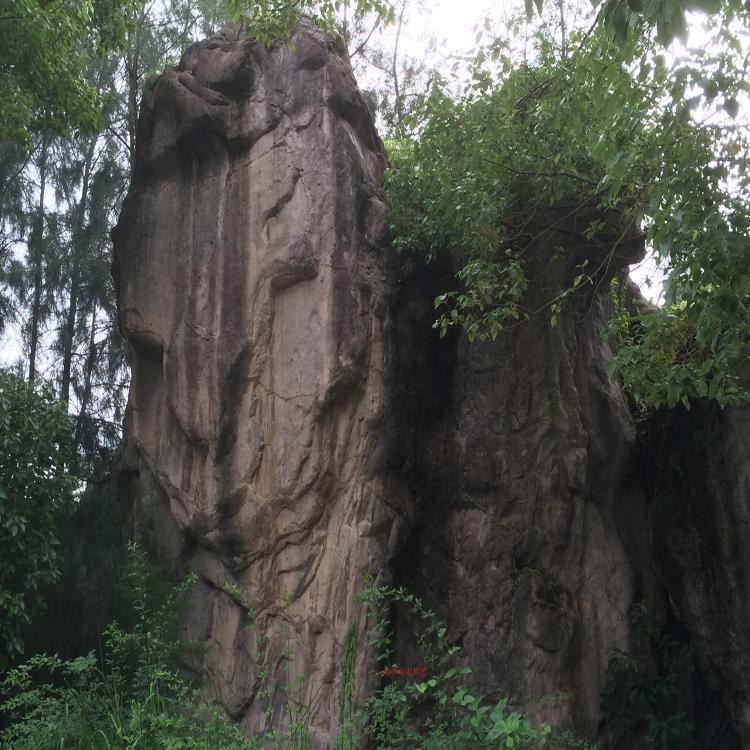 怒江水泥景区护坡 欢迎订购 伊春真石假山施工