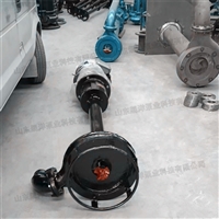   生产厂家吸沙泵 搅动高浓度污泥泵 立式鱼塘抽沙泵