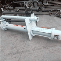   航道好用清淤泵 长轴耐磨渣浆泵 立式380v泥沙泵