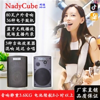 NadyCube耐迪ND-80户外弹唱响音箱蓝牙音响鼓机