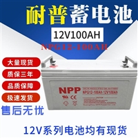  NPP耐普蓄电池NPG12-100 12v100ah胶体电瓶 EPS直流屏电源 