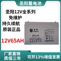 圣阳蓄电池 12V65AH UPS/EPS应急电源储能用 机房基站太阳能 SP12-65