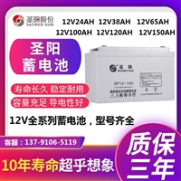 圣阳蓄电池12V100AH机房UPS电源直流屏中控室消防配套