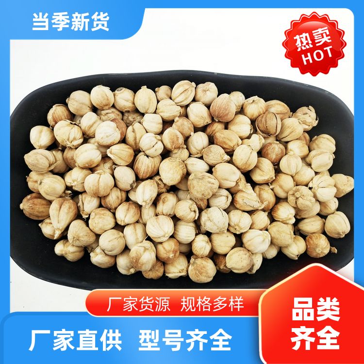 白寇白豆蔻500g香料大全卤味烧烤料干燥易碎白扣豆蔻白叩 新货味香 