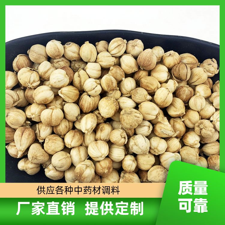 新货白蔻500g还有红花椒小茴香叶调料大全白扣豆蔻白叩 定制加工 