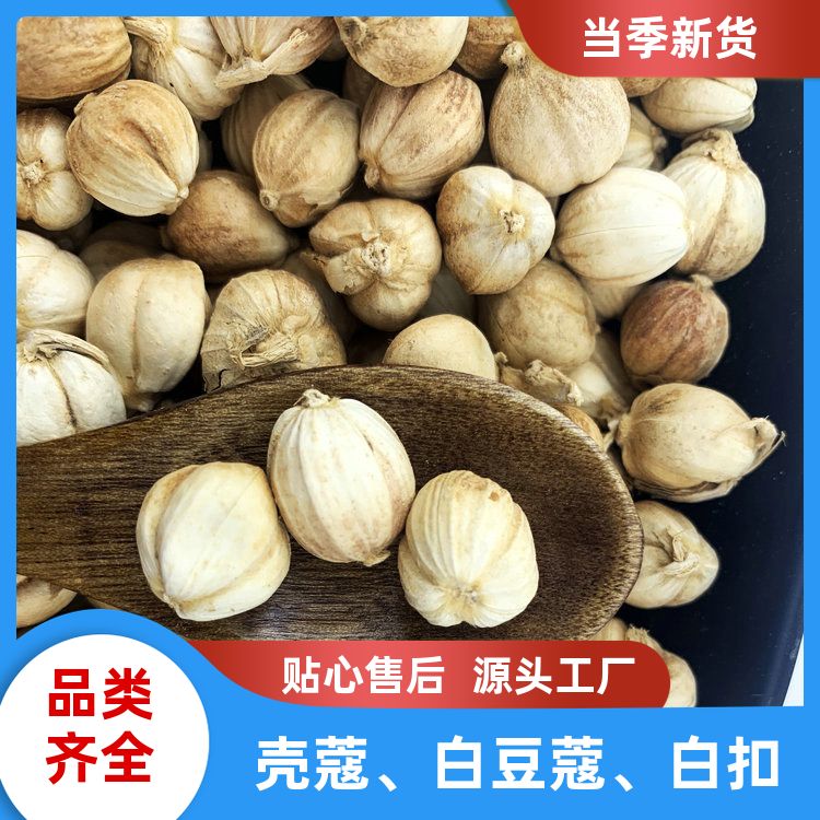 正宗白蔻500g香料大全卤味烧烤料现货速发白扣豆蔻白叩干货 特干碎 