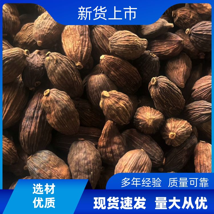 正宗干草果500g还有肉蔻烟桂枳壳荜拨香料大全草果仁籽皮 商用批发 