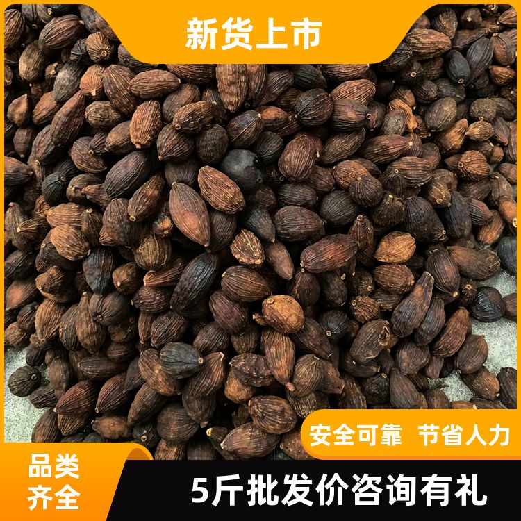 云南大草果500g还有桂枝木香叶老寇仁调料大全草果仁籽皮 特干商用 