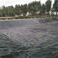 养殖粪污池防渗土工膜1.5毫米广西养猪场必用材料