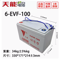 天能蓄电池6-EVF-100A老年代步车大阳洗地机12V100AH