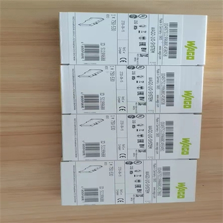 WAGO万可现场总线控制器750-333特点